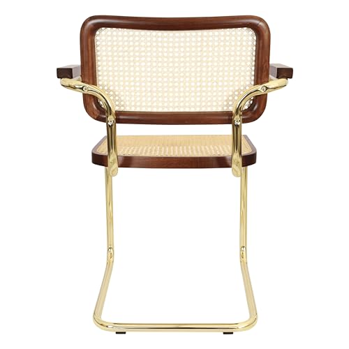 Cane Cantilever Armchair with Brass Steel Frame F630516