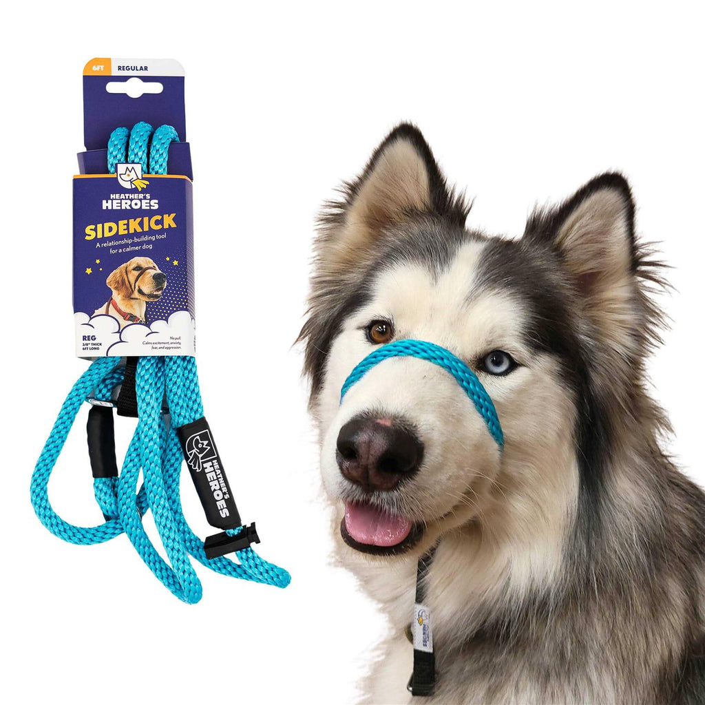 Pet Supplies online store D150
