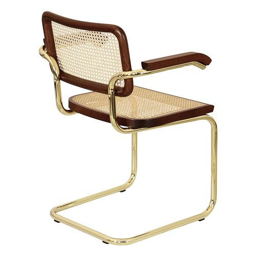Cane Cantilever Armchair with Brass Steel Frame F630516