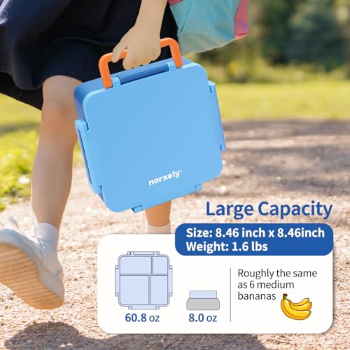 Kids Lunch Box with Thermos, 4 Compartments, Insulated, Drop-Proof, Dishwasher Safe I175