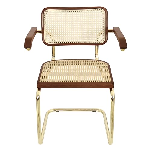 Cane Cantilever Armchair with Brass Steel Frame F630516