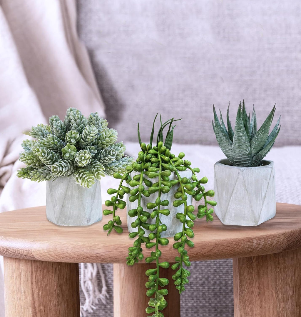Set of 3 Mini Artificial Succulent Plants in Gray Hexagon Ceramic Pots X1692