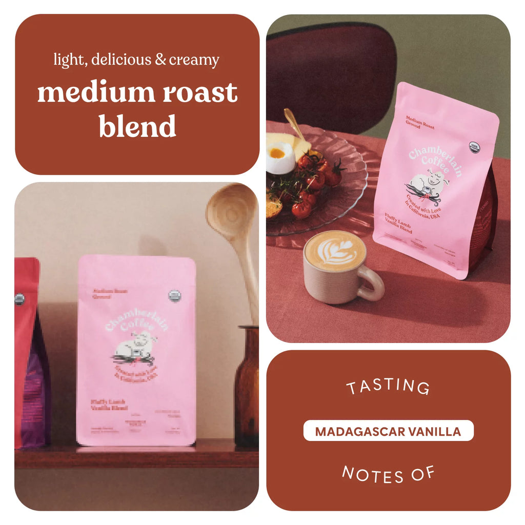 Vanilla Medium Roast Ground Coffee, 12 oz X687