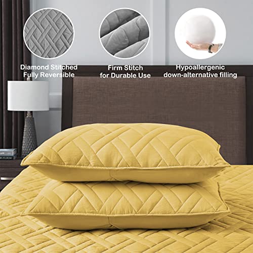 Quilt Set King Size Beige Bedspread, Modern Quilted Clouds Pattern Lightweight Microfiber W906466