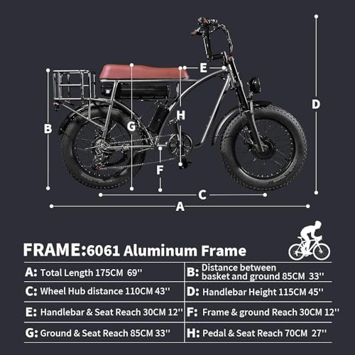 Electric Retro Cargo Bicycle 2000W Dual Motor 48V 18Ah Fat Tire 7 Speed R1675