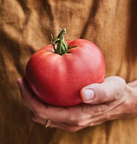 Red Beefsteak Slicing Tomato, 175 Non-GMO Seeds X5248