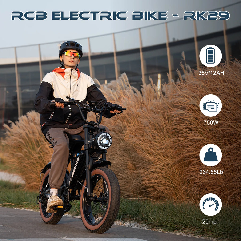 750W Electric Bike for Adults, 48V 15Ah Removable Battery, 20" Fat Tire Mountain Bicycle I4547