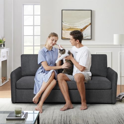 Sleeper Sofa Couch with Pullout Bed, Convertible Queen Size, Dark Grey H2839