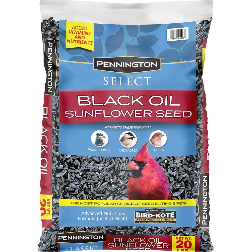 Black Oil Sunflower Seed Wild Bird Feed K197420