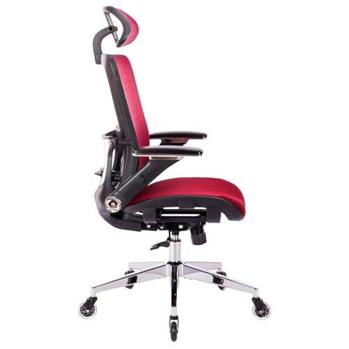 Ergonomic Mesh High Back Office Chair with Adjustable Headrest and Lumbar Support M2272