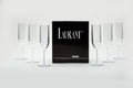 Tritan Plastic Champagne Flutes, Crystal Clear, Dishwasher-Safe (Set of 6)
