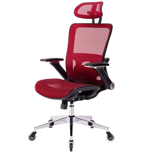Ergonomic Mesh High Back Office Chair with Adjustable Headrest and Lumbar Support M2272