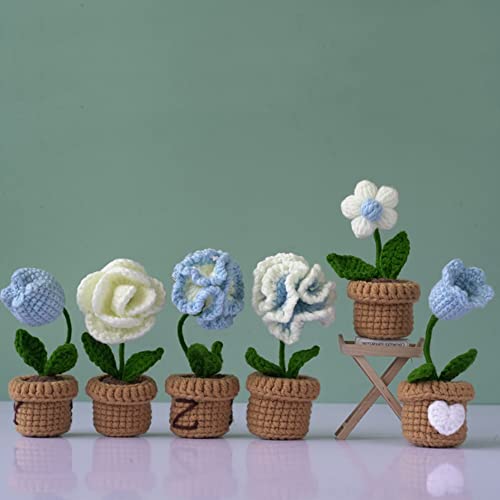 Crochet Kit for Beginners, 6 Pcs Potted Flowers, DIY Starter Kit with Video Tutorials H56169