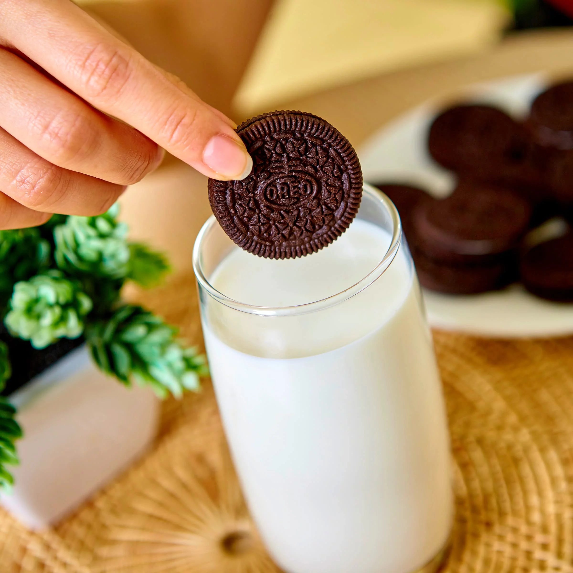 Chocolate Sandwich Cookies, Family Size, Pack of 2 L1205