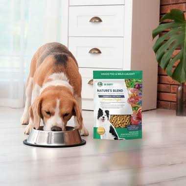 Freeze-Dried Dog Food A864164