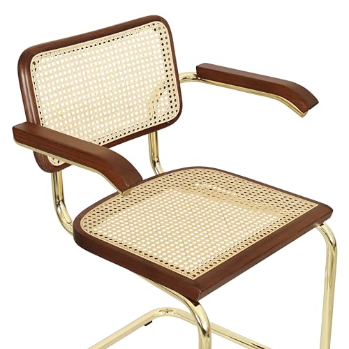 Cane Cantilever Armchair with Brass Steel Frame F630516