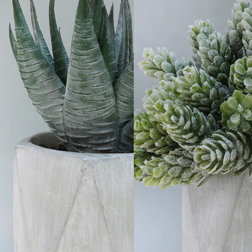 Set of 3 Mini Artificial Succulent Plants in Gray Hexagon Ceramic Pots X1692
