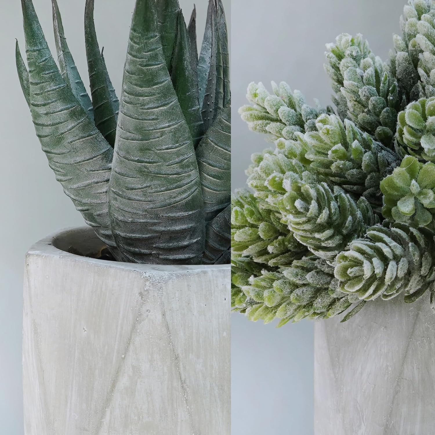 Set of 3 Mini Artificial Succulent Plants in Gray Hexagon Ceramic Pots X1692
